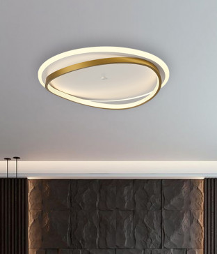 리보55W LED방등 안방전등